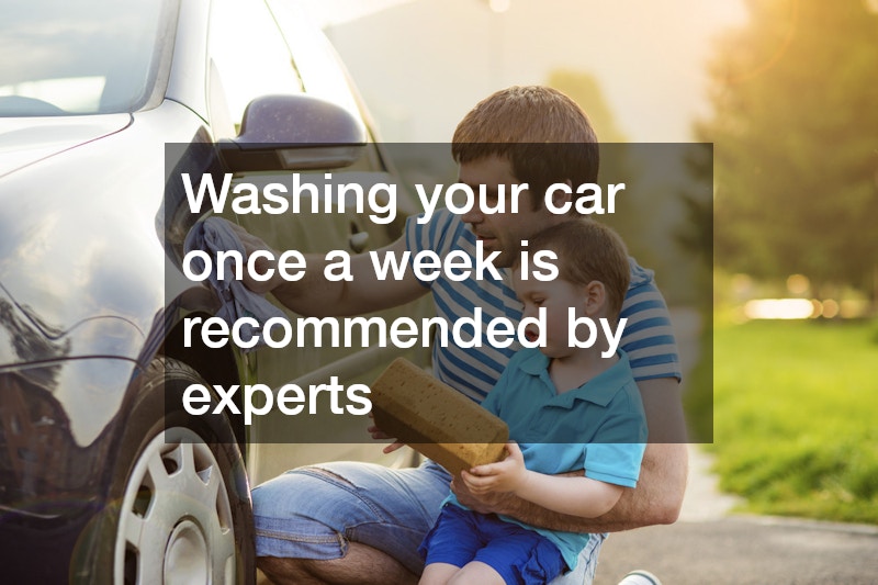 dad and kid washing the car